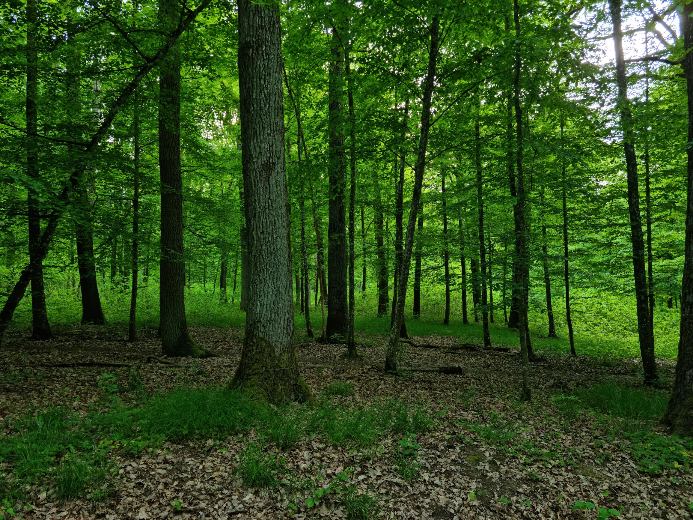 Wanderung